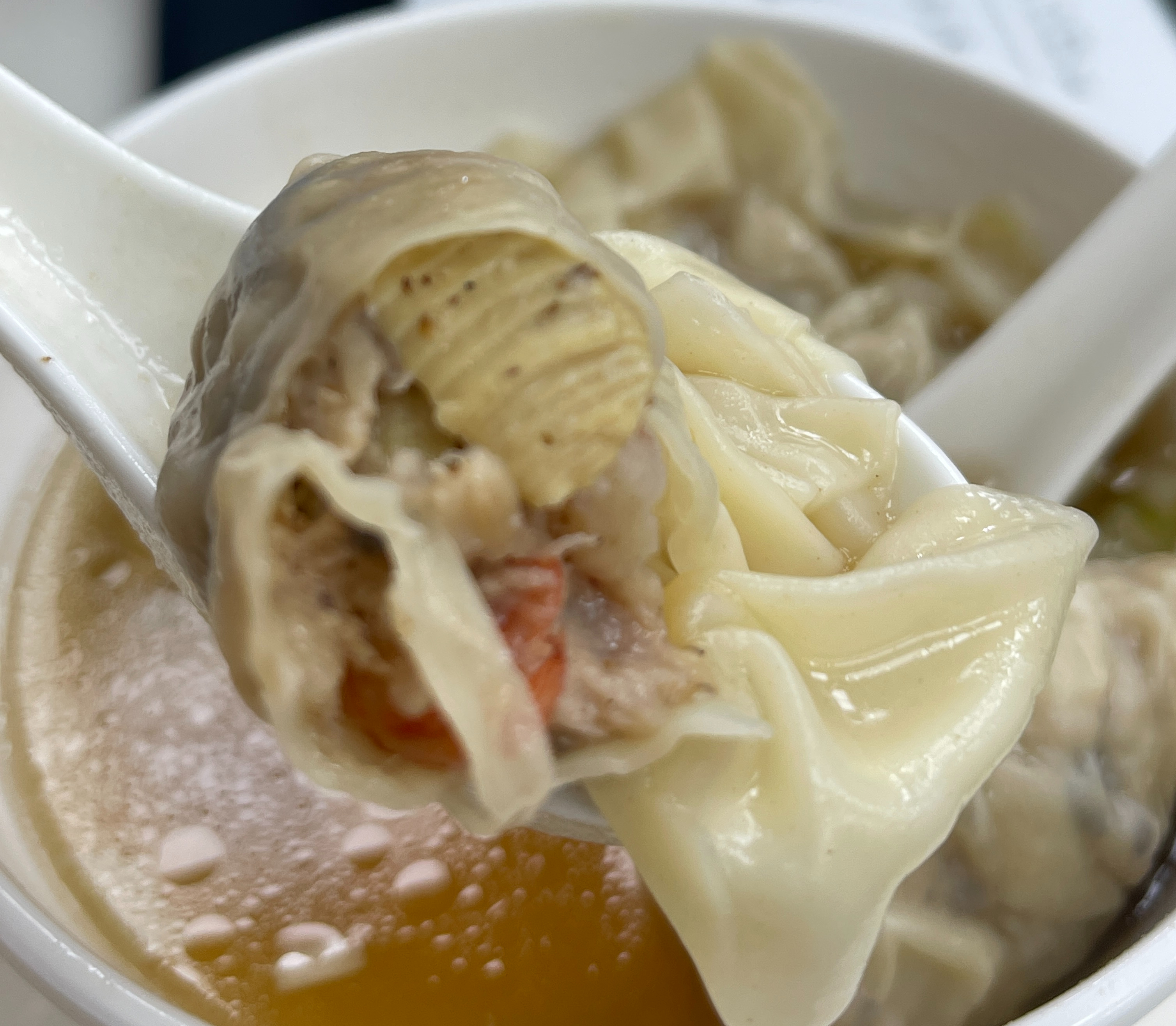 Dumpling Soup