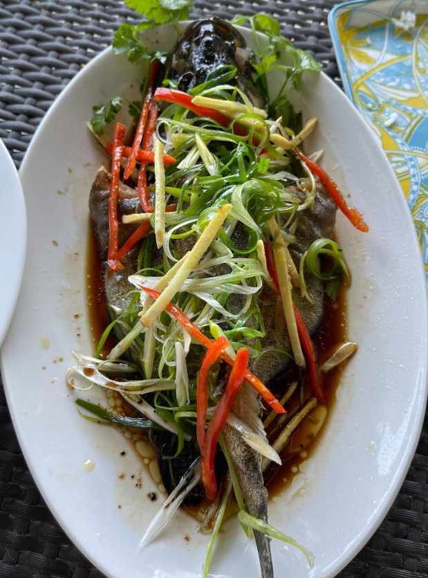 Steamed Fish Lapu-lapu in Sesame Oil for PhP588