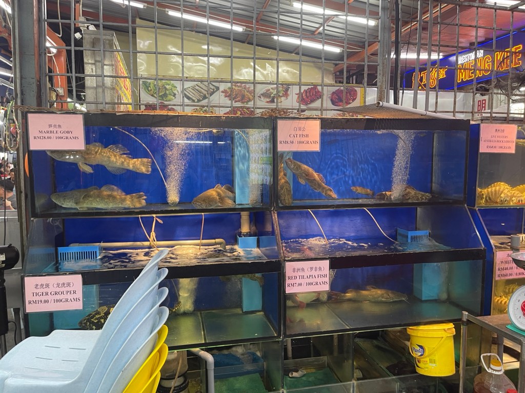 Live seafoods of Meng Kee Grill Fish Restaurant 2